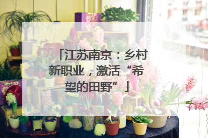 江苏南京：乡村新职业，激活“希望的田野”